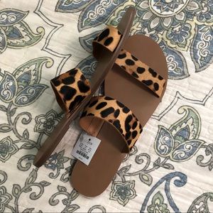 J Crew leopard print sandals